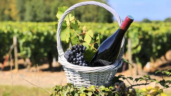 Vin du vignoble du Beaujolais 