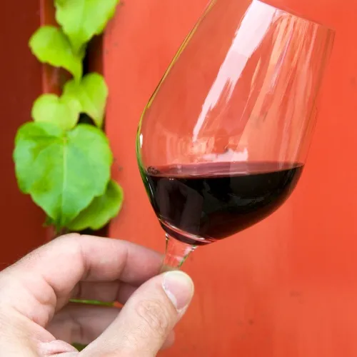 Dégustation de vin