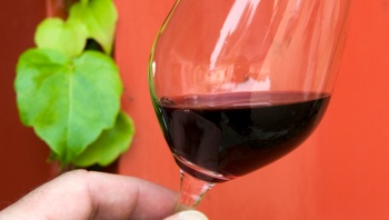 Crucero gastronómico Burdeos, SaintÉmilion y el Médoc - GGI_PP