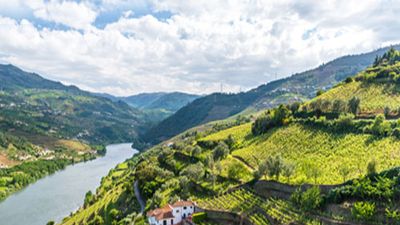 Croisière famille - Porto, la vallée du Douro et Salamanque (formule port/port) - 9