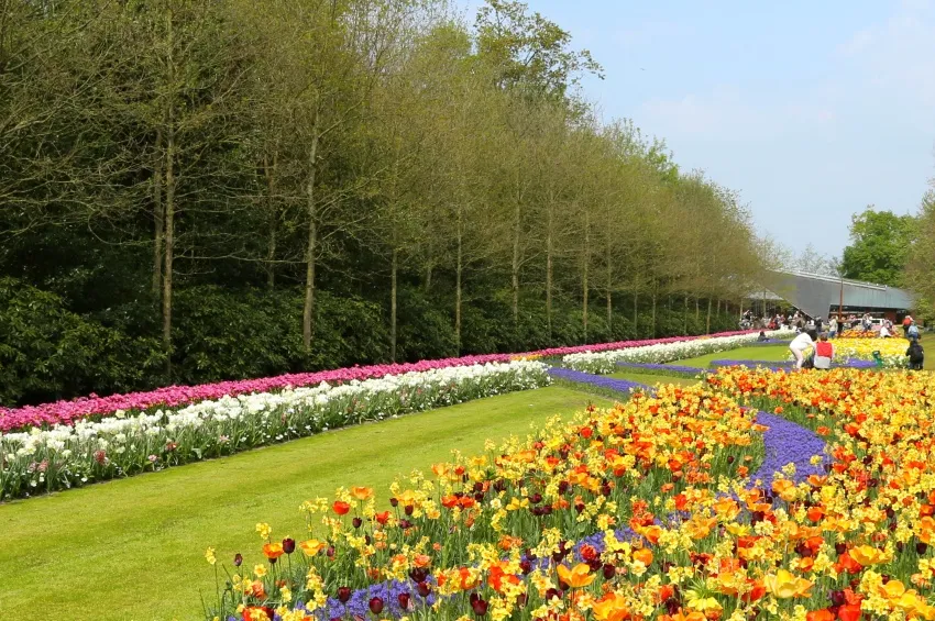 Parc Keukenhof à Amsterdam