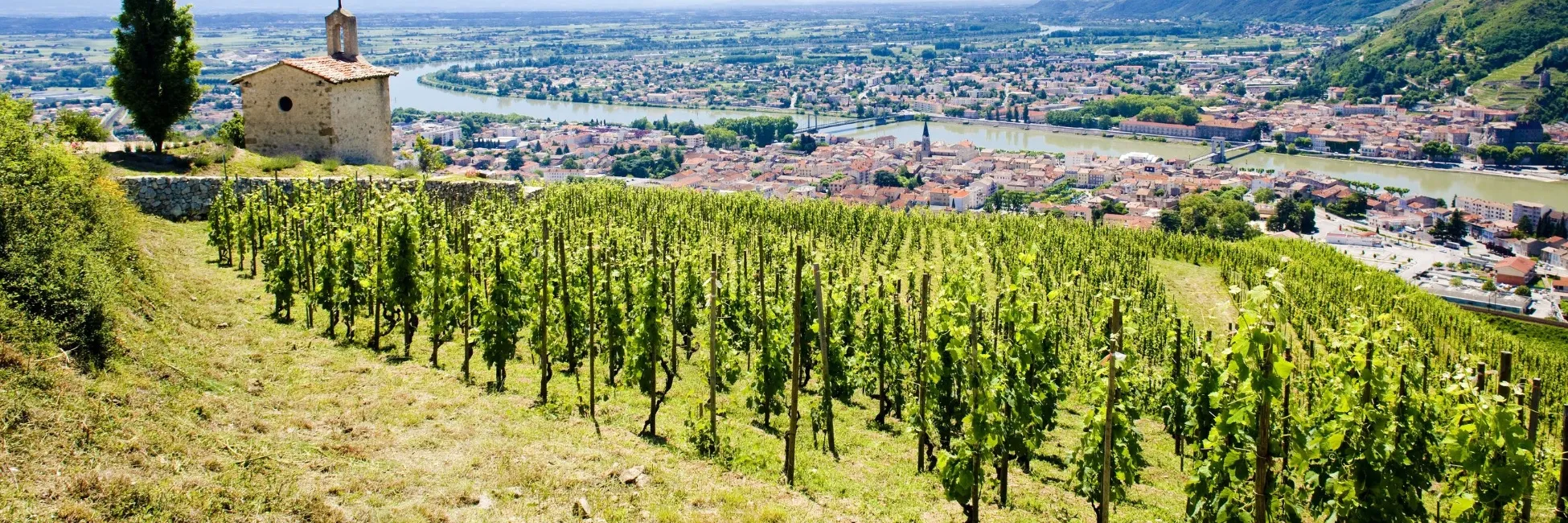 Tain l'Hermitage et ses vignes 