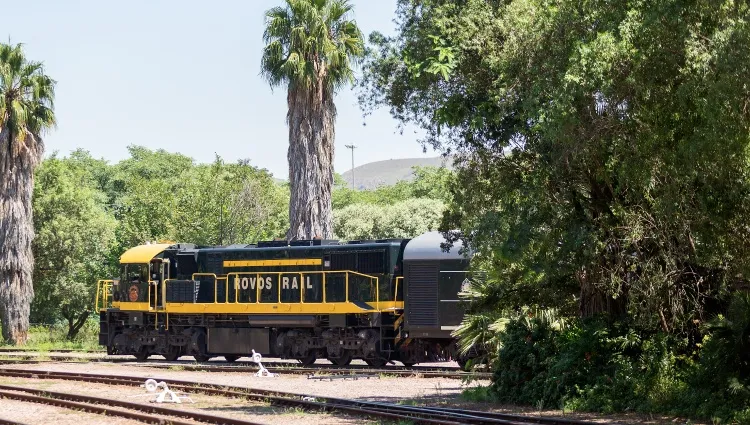 Train d'Afrique 