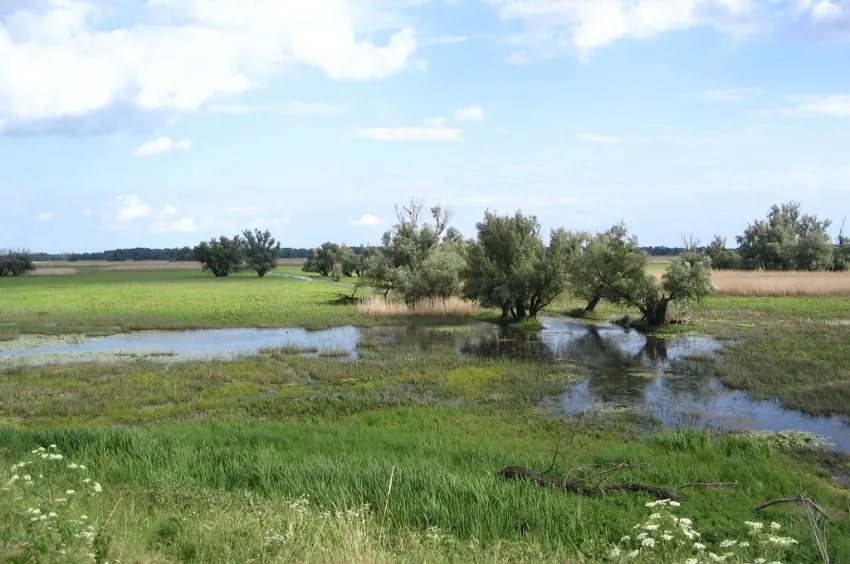 Le parc naturel de Kopacki Rit 