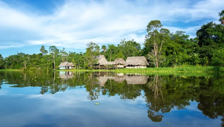 Mix entre forêt amazonienne et l'amazone 