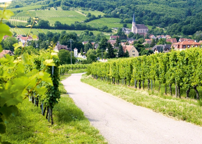 La Moselle, la vallée du Rhin romantique et les charmes de l'Alsace et de la Suisse - 11