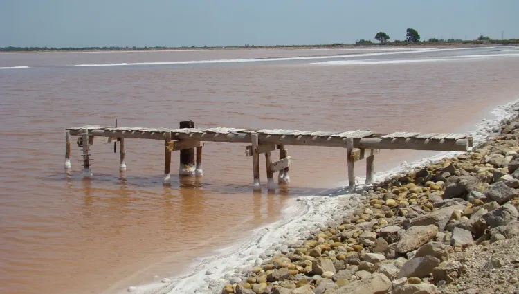 Les salins d'Aigues-Mortes 