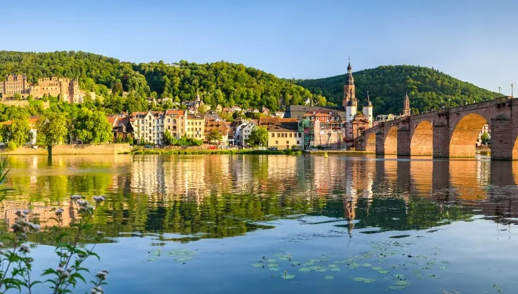 Heidelberg et sa nature 