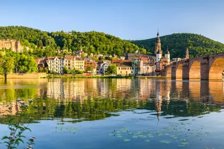 Heidelberg et sa nature 