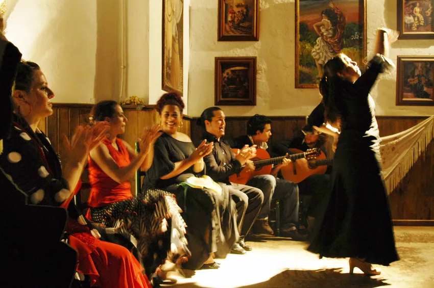 Danseuse de Flamenco 