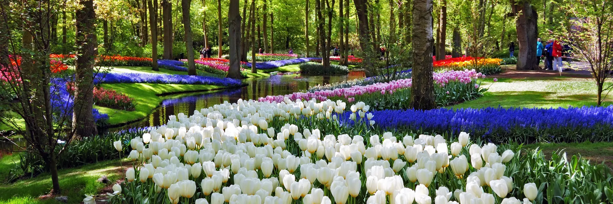 Le parc floral et coloré de Keukenhof 