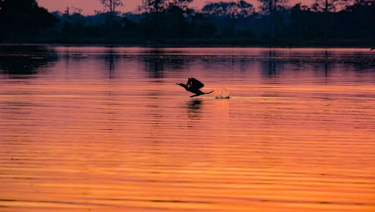 Coucher du soleil sur le fleuve 