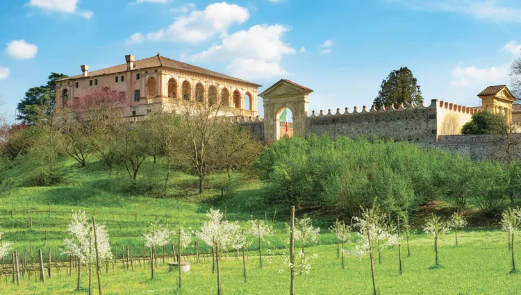 Vue des jardins de la Villa Dei Vescovi 