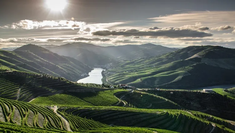 Le soleil resplendissant sur la vallée du Douro 