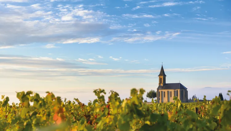 Vue sur les vignes de Beaujolais 