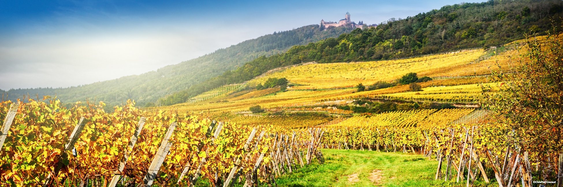 Automne en Alsace: 10 spots photos de vignobles sur la route des vins