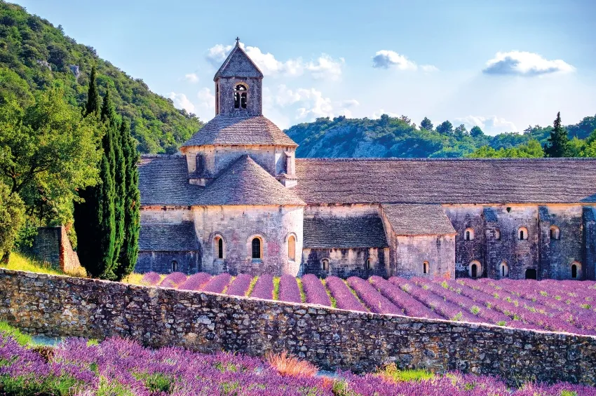 L'abbaye Sénanque et ses champs de Lavande  