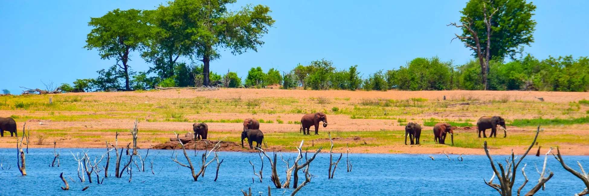 Safari matusadona en Afrique