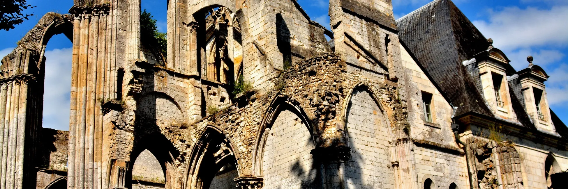 Vue sur l'abbaye de Jumièges 