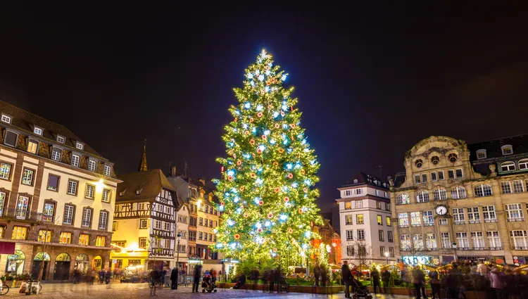 Le Grand sapin de Noël de Strasbourg 