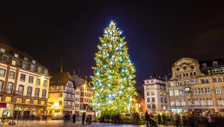 Le Grand sapin de Noël de Strasbourg 