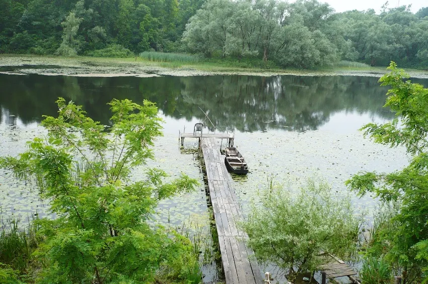 Le lac Tisza en Hongrie 