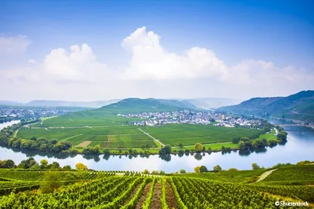 Vignette vallée de la Moselle 