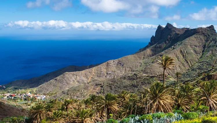 L'archiper des Canaries en croisière