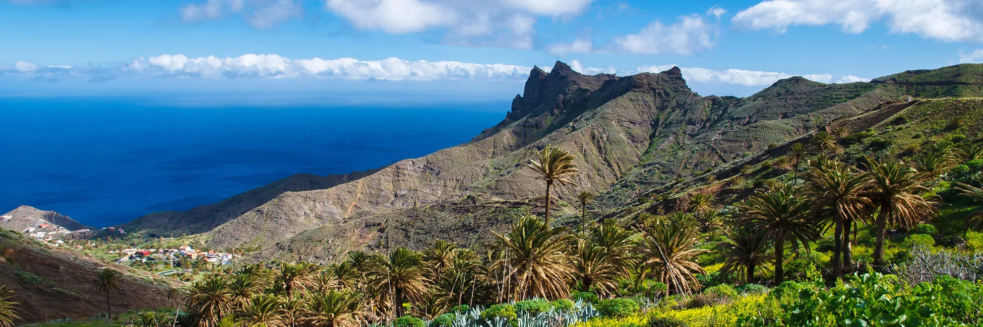 L'archiper des Canaries en croisière