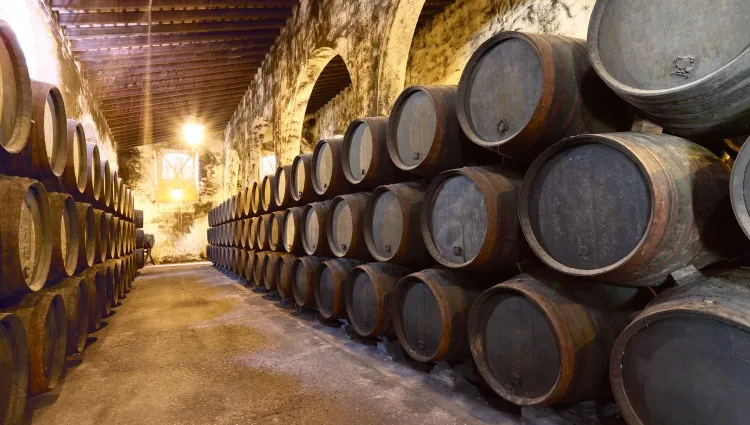 Cave à vins de Bodega