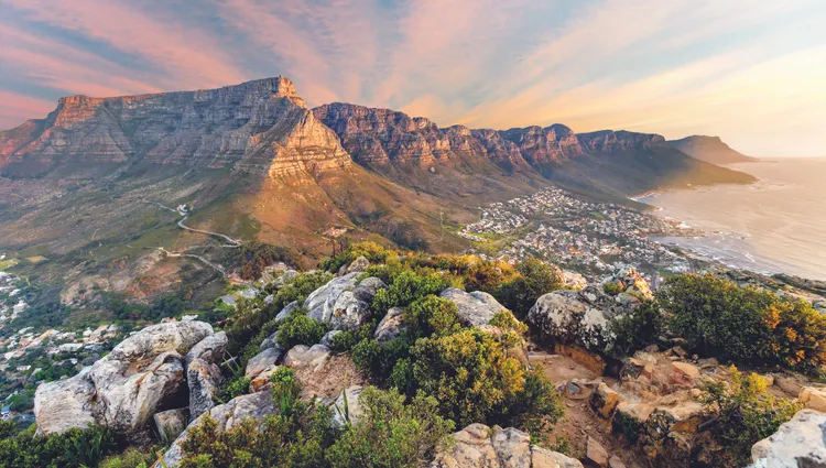 Dans les hauteurs de la Montagne de la Table en Afrique du Sud 