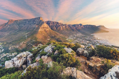 Dans les hauteurs de la Montagne de la Table en Afrique du Sud 