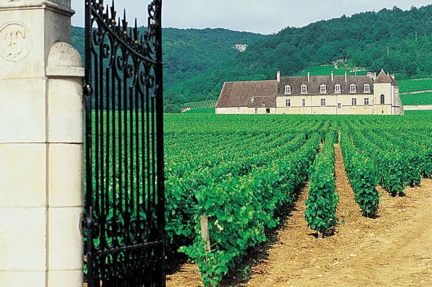 Entrée du château par les vignobles