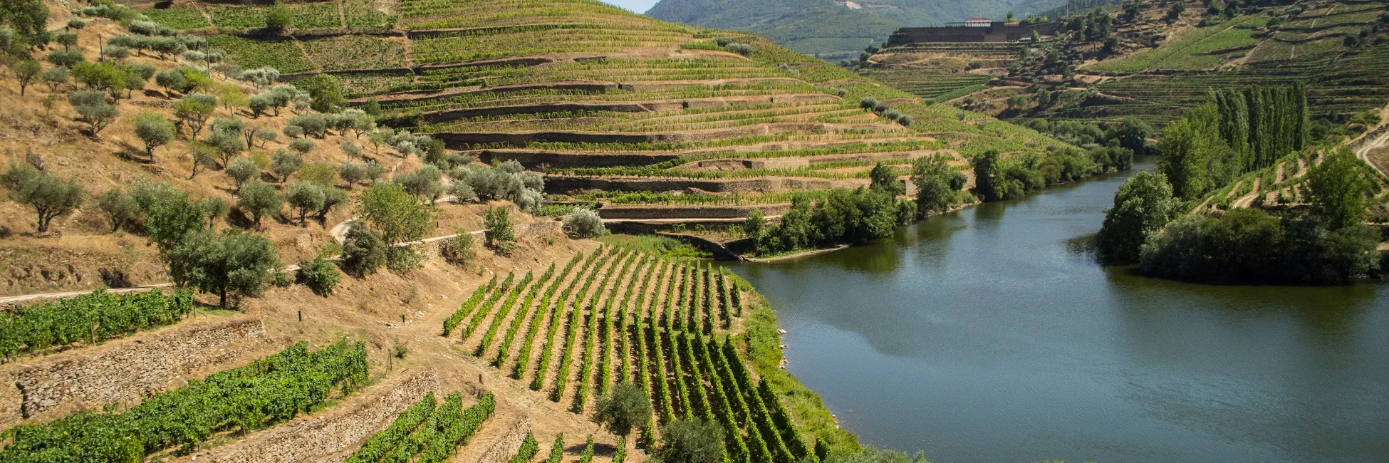 La vallée du Douro 