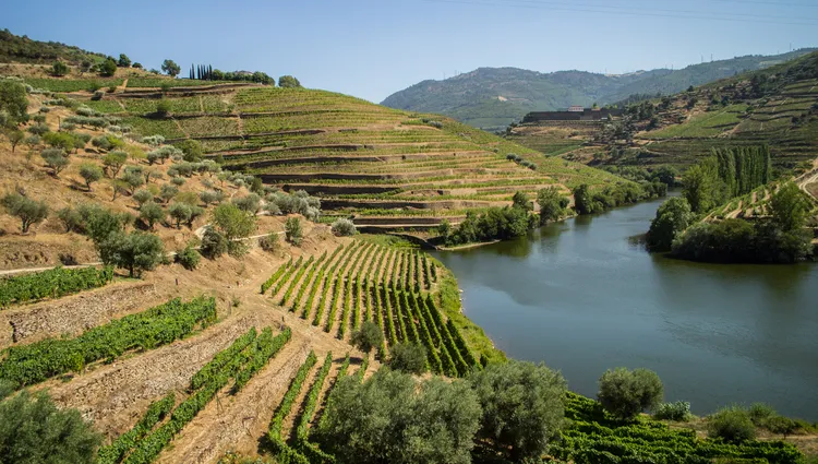 La vallée du Douro 