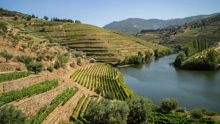 La vallée du Douro 