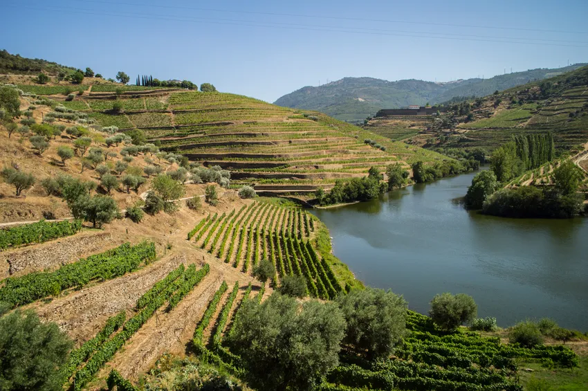 La vallée du Douro 