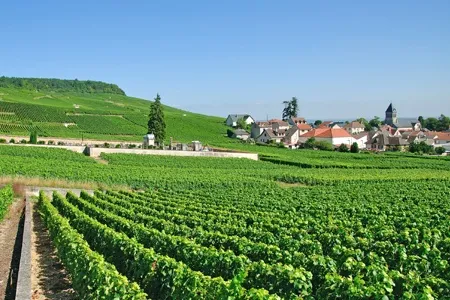 Epernay et le Canal de la Marne avec CroisiEurope