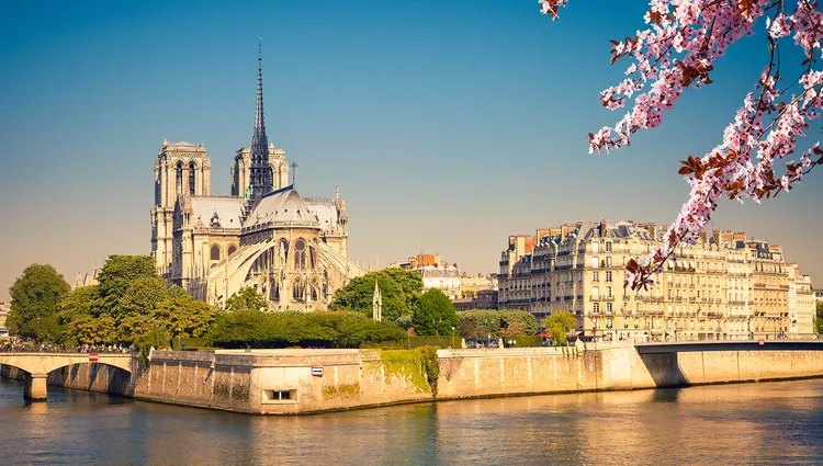 Vue sur Notre Dame à travers la Seine