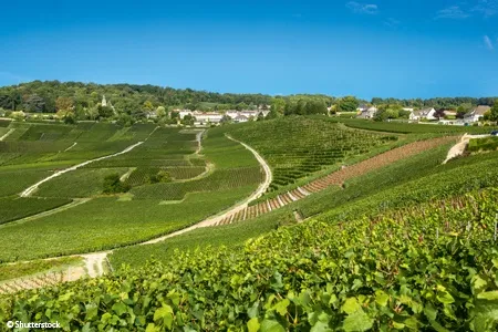 Hautvilliers et le Canal de la Marne avec CroisiEurope