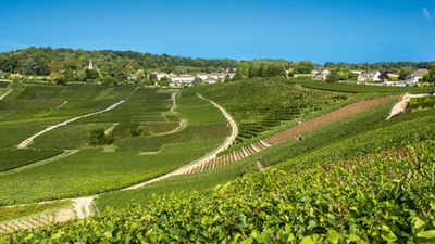 De Paris à la Champagne, l'art de vivre à la française en croisière, patrimoine et saveurs au fil de l'eau (formule port/port) - 8