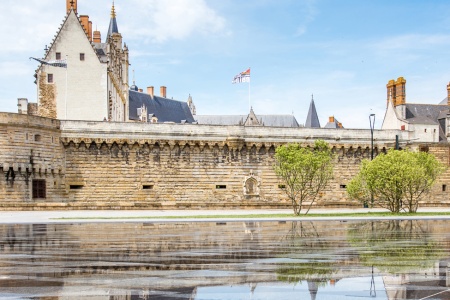 NSN_CLR - Los castillos del Loira Chambord y Chenonceau y Crucero por el Loira, un patrimonio real