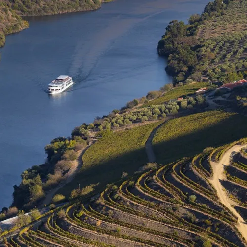 Vignette navigation sur le Douro 