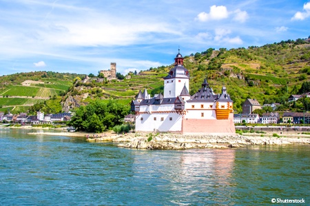 Festive cruise on the Rhine River (port-to-port cruise)
