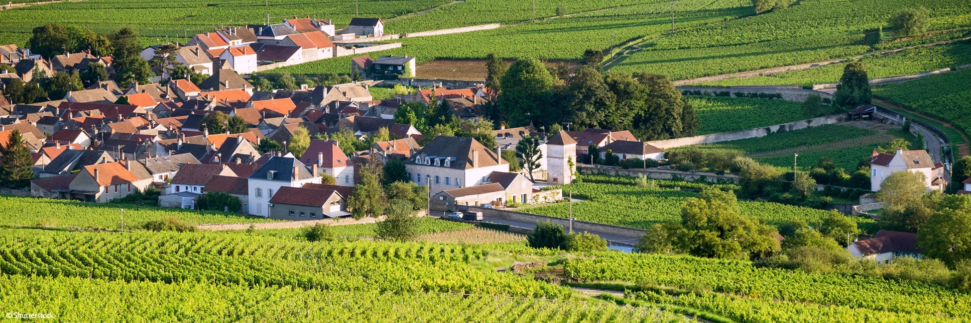 Saone et ses vignobles - Canaux - Croisieurope 