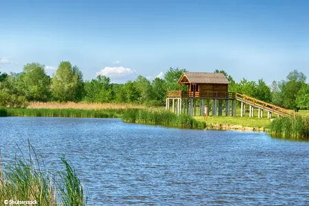 Vignette Lac Tisza en Hongrie 