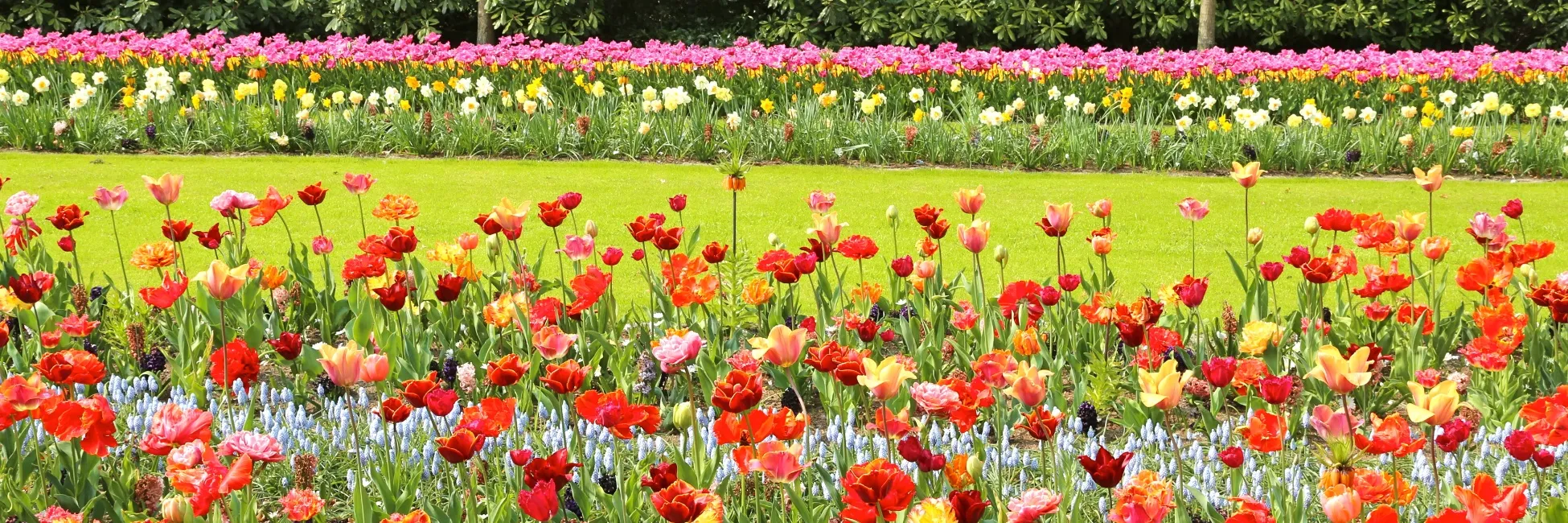 Parc de Keukenhof à Amsterdam