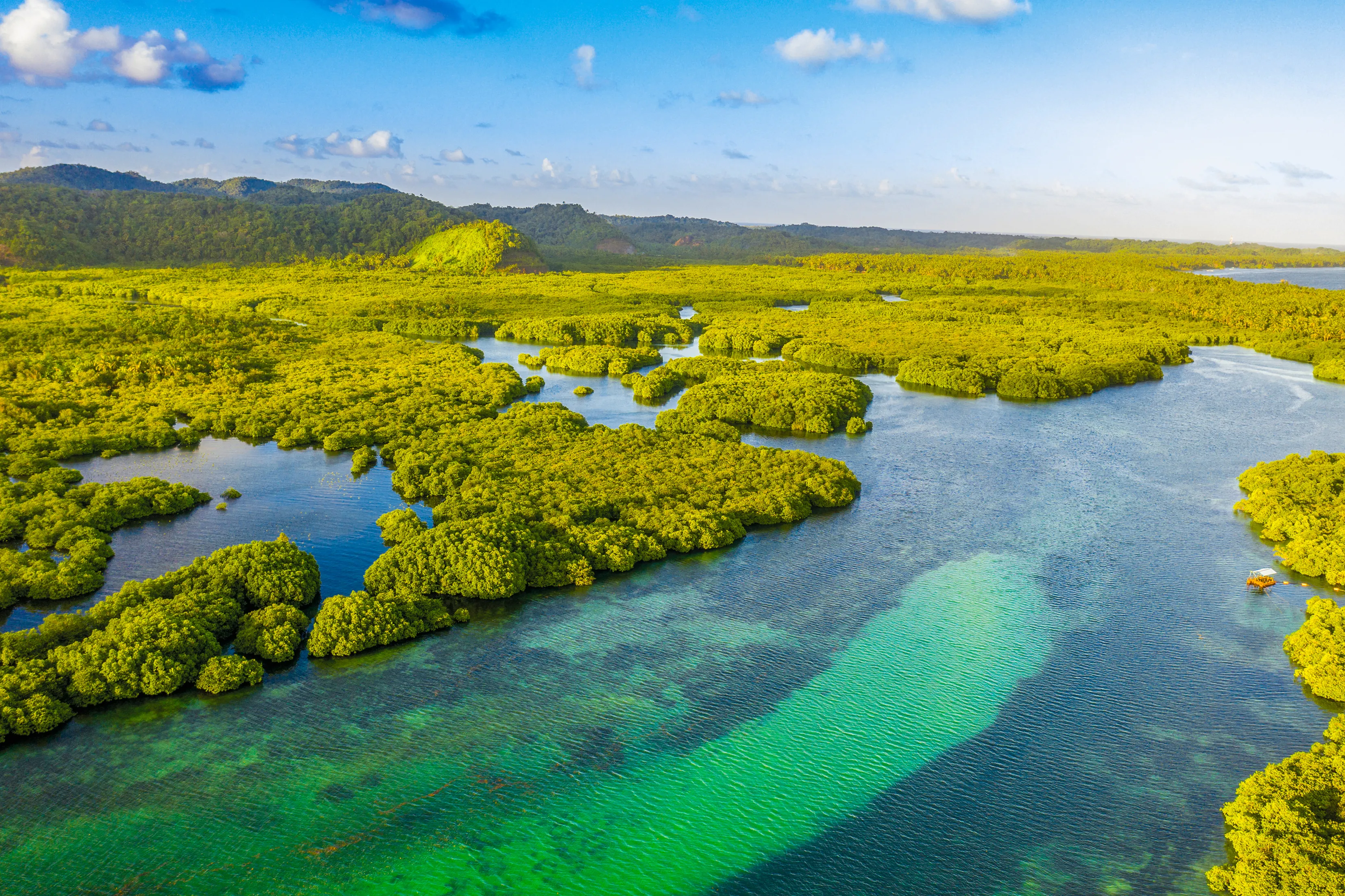 L'archipel fluvial d'Anavilhanas au Brésil 