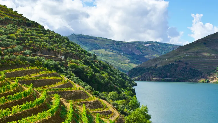Slider la vallée du Douro 