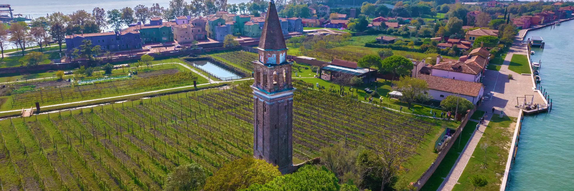 Vue aérienne sur les vignes de Mazzoro 